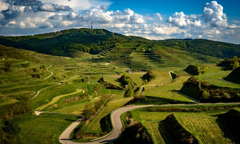 Обои дорога, облака, холмы, зелень, поля, плантации, германия, kaiserstuhl hills, road, clouds, hills, greens, field, plantation, germany разрешение 2048x1365 Загрузить