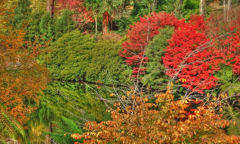 Обои деревья, лейка, осен, озеро, природа, отражение, осень, расцветка, деревь, опадают, на природе, trees, lake, nature, reflection, autumn, colors, fall разрешение 2216x1406 Загрузить