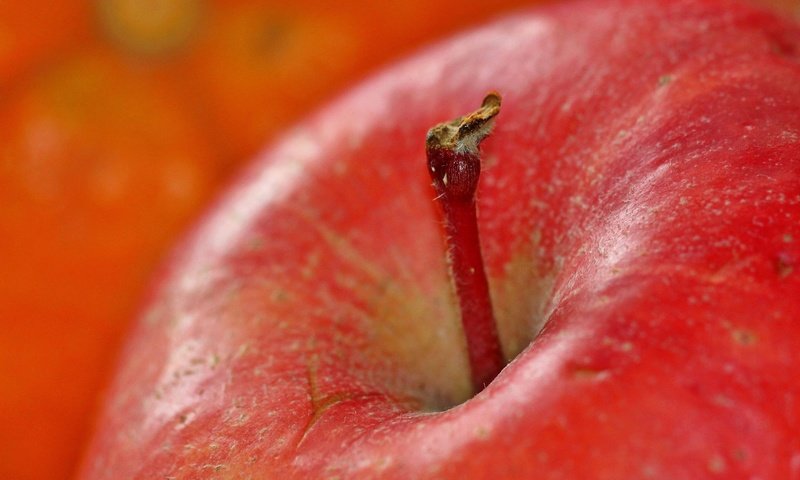 Обои макро, фрукты, витамины, яблоко, красное, macro, fruit, vitamins, apple, red разрешение 1920x1427 Загрузить