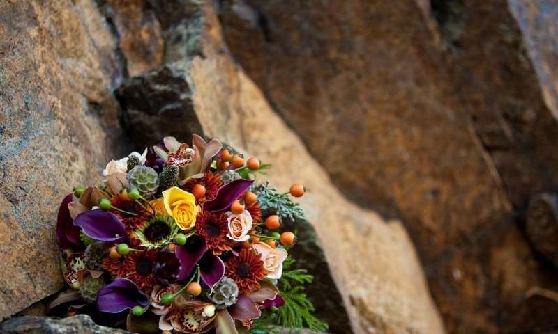 Обои цветы, камни, розы, букет, каллы, орхидеи, flowers, stones, roses, bouquet, calla lilies, orchids разрешение 1920x1200 Загрузить