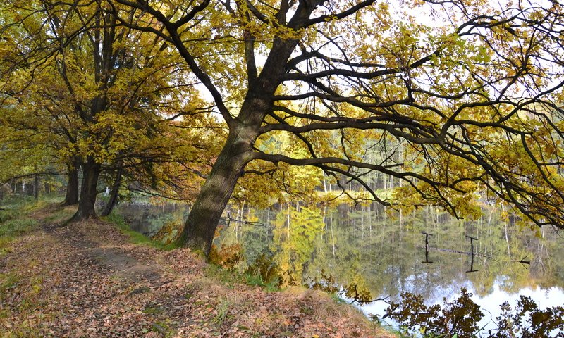 Обои озеро, осень, опадают, лейка, осен, lake, autumn, fall разрешение 4608x3072 Загрузить