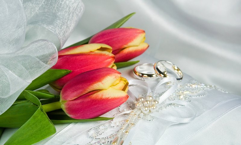 Обои украшения, ленточки, тюльпаны, кольца, decoration, ribbons, tulips, ring разрешение 3872x2592 Загрузить