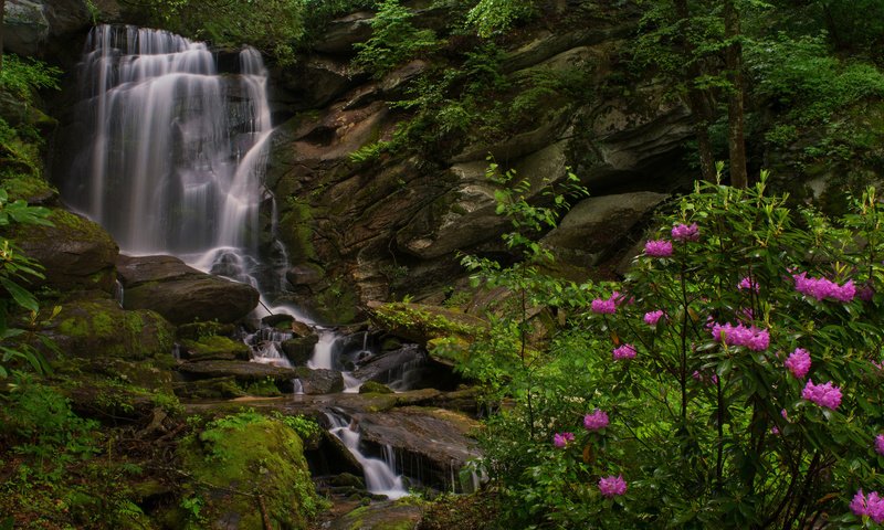 Обои скалы, водопад, куст, рододендроны, северная каролина, seven falls, этова, rocks, waterfall, bush, rhododendrons, north carolina, etowah разрешение 2048x1352 Загрузить