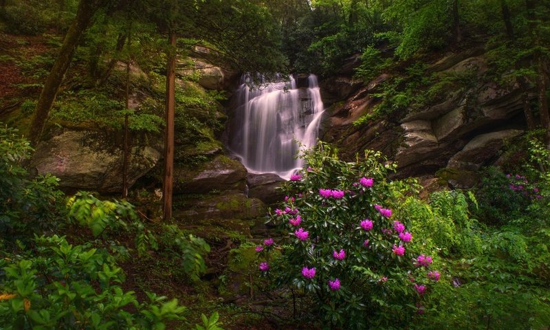 Обои деревья, скалы, лес, водопад, рододендроны, северная каролина, seven falls, этова, trees, rocks, forest, waterfall, rhododendrons, north carolina, etowah разрешение 2048x1280 Загрузить