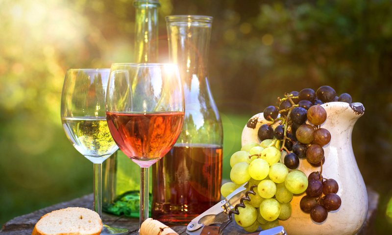 Обои солнце, лучи, виноград, блики, вино, бокалы, вс, вина, the sun, rays, grapes, glare, wine, glasses, sun разрешение 4750x3388 Загрузить