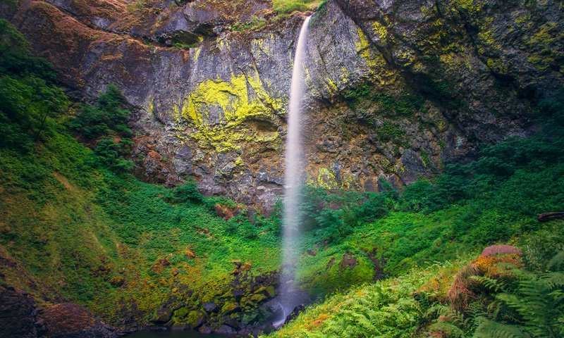 Обои скалы, elowah, камни, растения, водопад, сша, папоротник, орегон, heather west, elowah-falls, rocks, stones, plants, waterfall, usa, fern, oregon разрешение 2048x1365 Загрузить