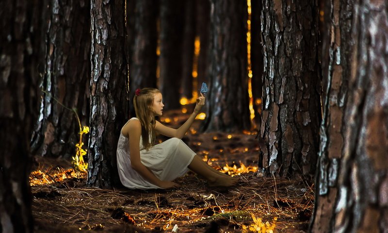 Обои лес, бабочка, девочка, forest, butterfly, girl разрешение 2048x1371 Загрузить