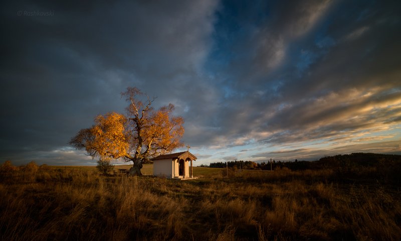 Обои дерево, поле, осень, tree, field, autumn разрешение 2048x1280 Загрузить