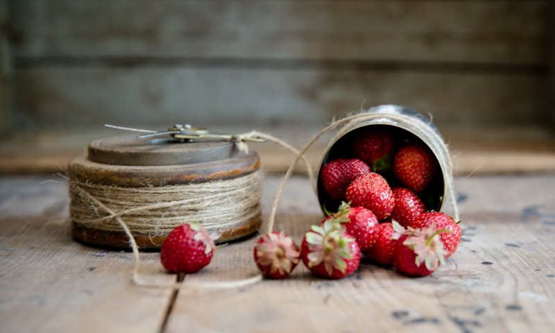 Обои фон, клубника, ягоды, веревка, шпагат, background, strawberry, berries, rope, twine разрешение 4461x3494 Загрузить