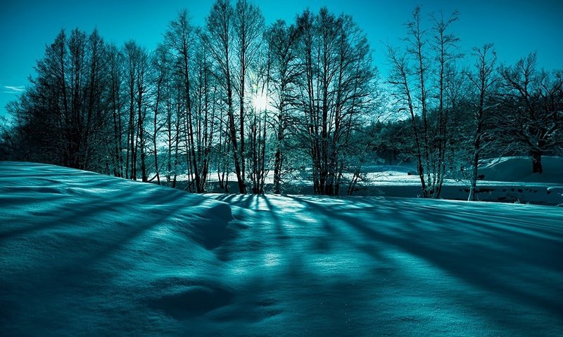 Обои небо, деревья, солнце, снег, природа, зима, лучи, пейзаж, the sky, trees, the sun, snow, nature, winter, rays, landscape разрешение 1920x1200 Загрузить