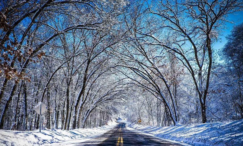 Обои небо, дорога, деревья, снег, зима, туннель, the sky, road, trees, snow, winter, the tunnel разрешение 4896x2690 Загрузить