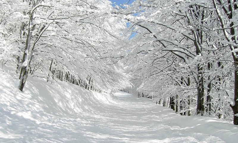 Обои небо, дорога, деревья, солнце, снег, зима, синее, the sky, road, trees, the sun, snow, winter, blue разрешение 1920x1080 Загрузить