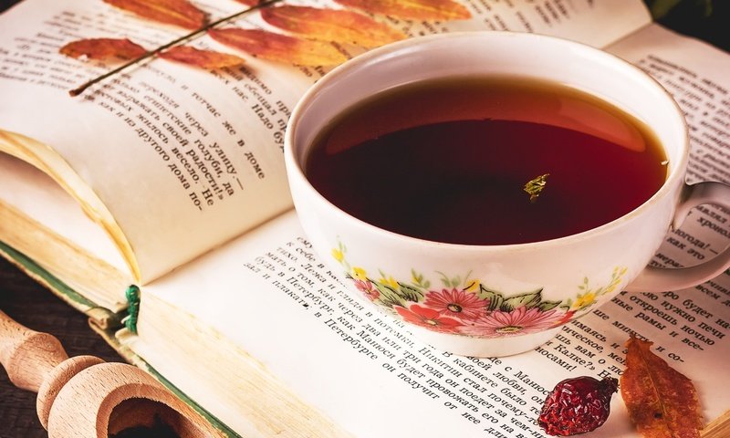 Обои листья, настроение, напиток, чашка, чай, книга, leaves, mood, drink, cup, tea, book разрешение 1920x1258 Загрузить