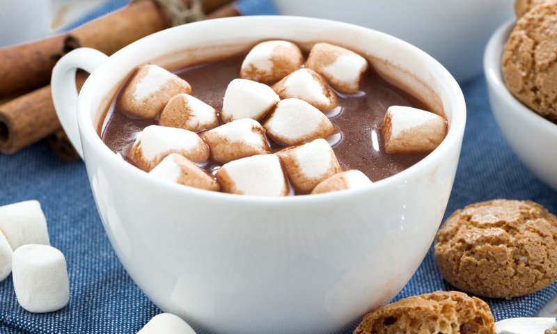 Обои напиток, чашка, печенье, какао, горячий шоколад, маршмеллоу, drink, cup, cookies, cocoa, hot chocolate, marshmallows разрешение 2048x1367 Загрузить
