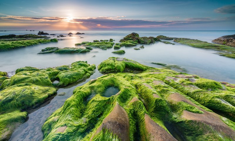 Обои камни, берег, закат, море, водоросли, stones, shore, sunset, sea, algae разрешение 2047x1315 Загрузить