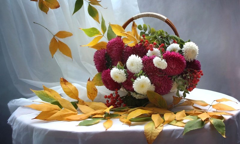 Обои листья, осень, букет, корзина, рябина, астры, leaves, autumn, bouquet, basket, rowan, asters разрешение 1920x1221 Загрузить