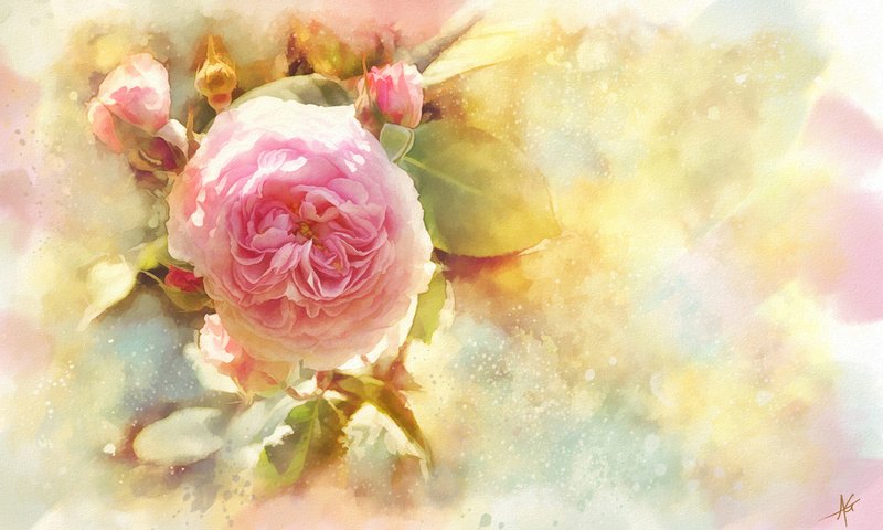 Обои арт, бутоны, цветок, роза, акварель, art, buds, flower, rose, watercolor разрешение 5360x3436 Загрузить