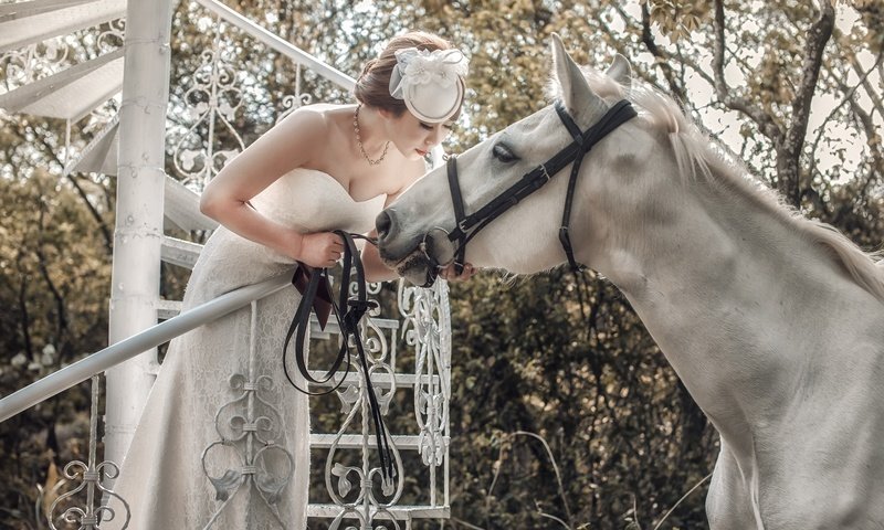 Обои лошадь, белый, конь, азиатка, невеста, horse, white, asian, the bride разрешение 1920x1213 Загрузить