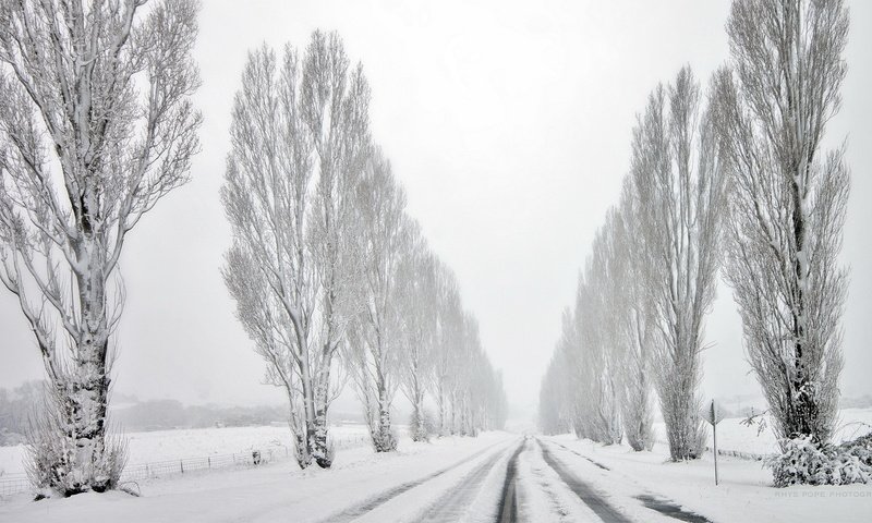 Обои дорога, деревья, снег, зима, road, trees, snow, winter разрешение 1920x1080 Загрузить