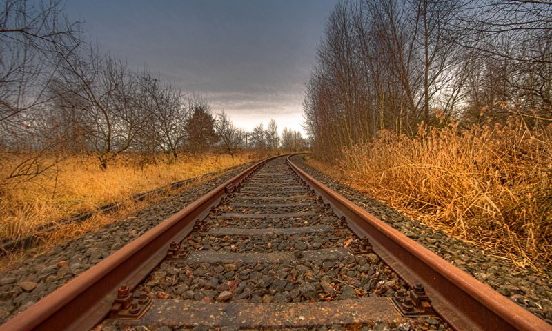 Обои деревья, железная дорога, рельсы, пейзаж, trees, railroad, rails, landscape разрешение 2560x1703 Загрузить