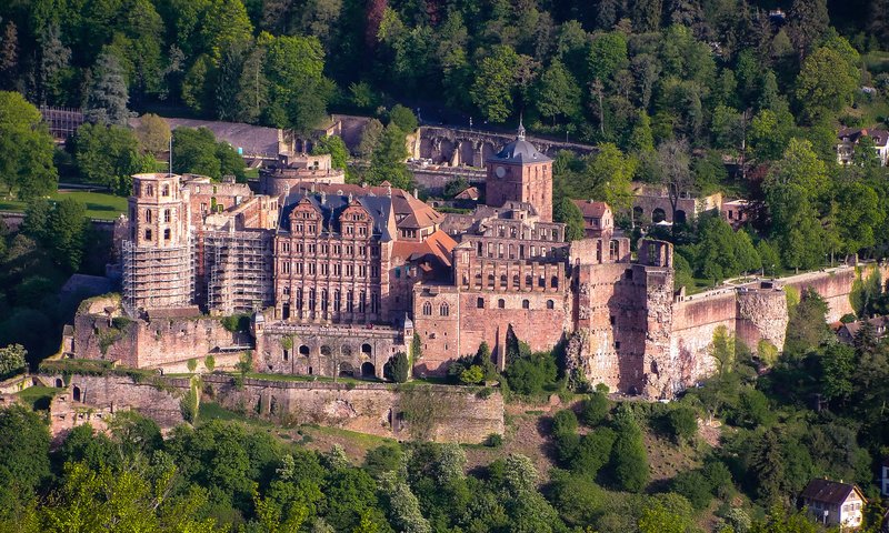 Обои деревья, лес, замок, вид сверху, германия, heidelberg castle, trees, forest, castle, the view from the top, germany разрешение 2048x1536 Загрузить