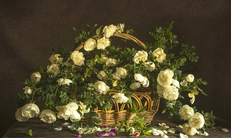 Обои розы, букет, корзина, композиция, roses, bouquet, basket, composition разрешение 2100x1399 Загрузить