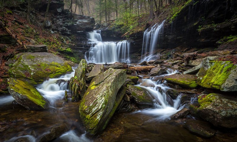 Обои деревья, камни, лес, ручей, водопад, сша, мох, ricketts glen state park, trees, stones, forest, stream, waterfall, usa, moss разрешение 3209x2000 Загрузить