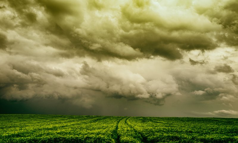 Обои небо, природа, поле, the sky, nature, field разрешение 2048x1365 Загрузить