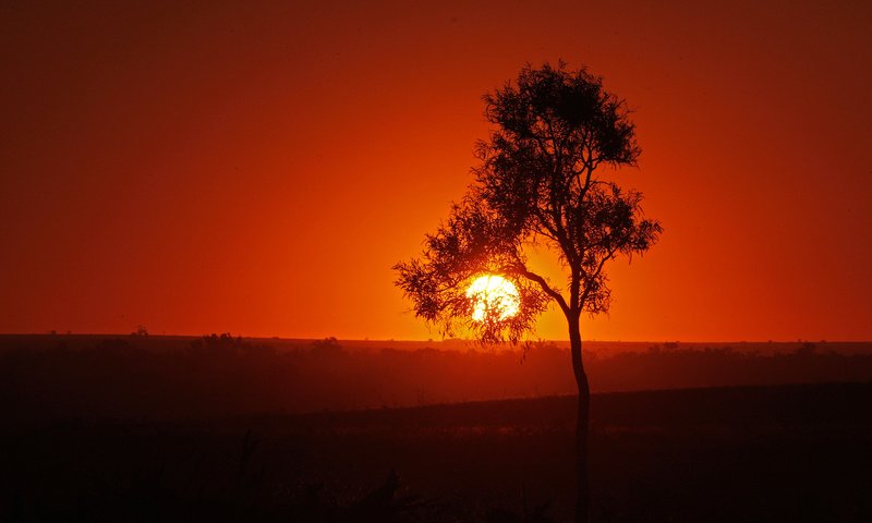 Обои небо, солнце, дерево, закат, силуэт, the sky, the sun, tree, sunset, silhouette разрешение 2048x1266 Загрузить