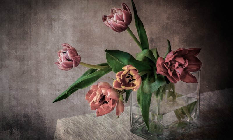 Обои букет, тюльпаны, ваза, скатерть, bouquet, tulips, vase, tablecloth разрешение 4671x3030 Загрузить