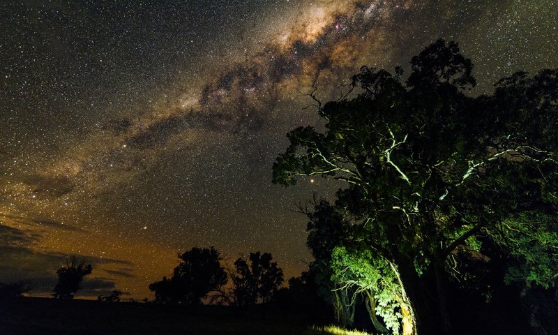 Обои ночь, деревья, природа, звезды, млечный путь, night, trees, nature, stars, the milky way разрешение 2048x1367 Загрузить