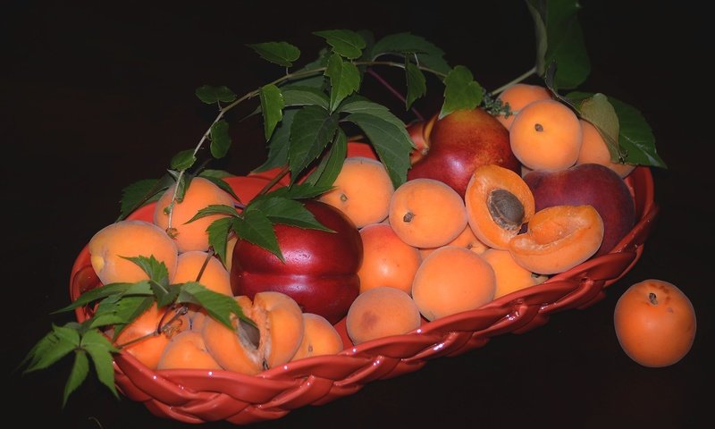 Обои фрукты, абрикос, нектарин, fruit, apricot, nectarine разрешение 3000x1877 Загрузить