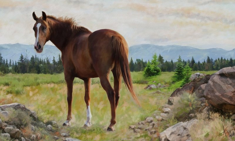 Обои лошадь, природа, картина, пейзаж, графика, конь, живопись, horse, nature, picture, landscape, graphics, painting разрешение 2880x1620 Загрузить