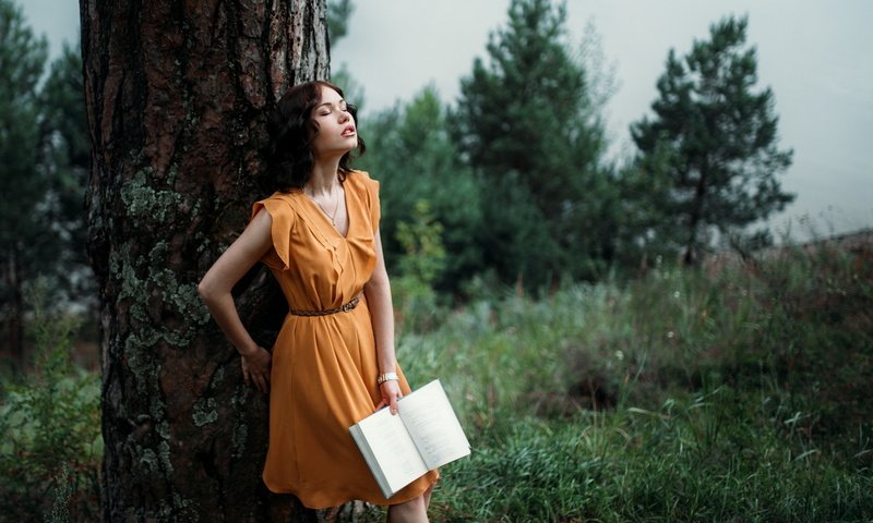 Обои дерево, девушка, книга, tree, girl, book разрешение 1920x1247 Загрузить