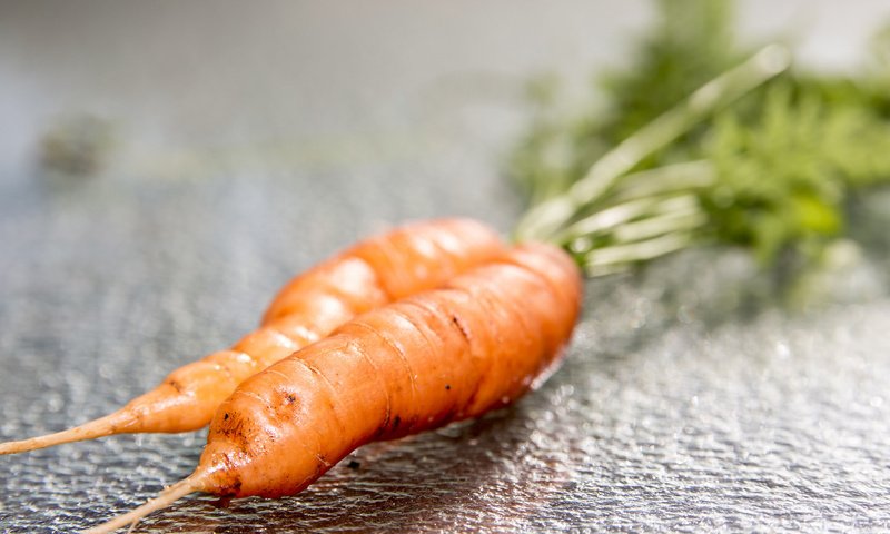 Обои макро, овощи, морковь, macro, vegetables, carrots разрешение 2048x1365 Загрузить