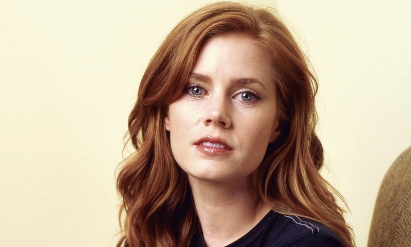 Обои девушка, актриса, красивая, красива, эми адамс, girl, actress, beautiful, amy adams разрешение 2400x1673 Загрузить