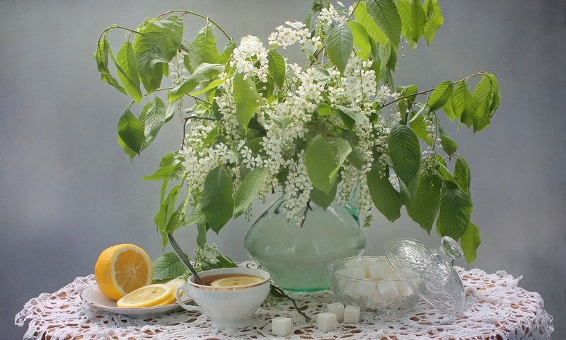 Обои лимон, букет, чай, сахар, натюрморт, черемуха, lemon, bouquet, tea, sugar, still life, cherry разрешение 1920x1319 Загрузить