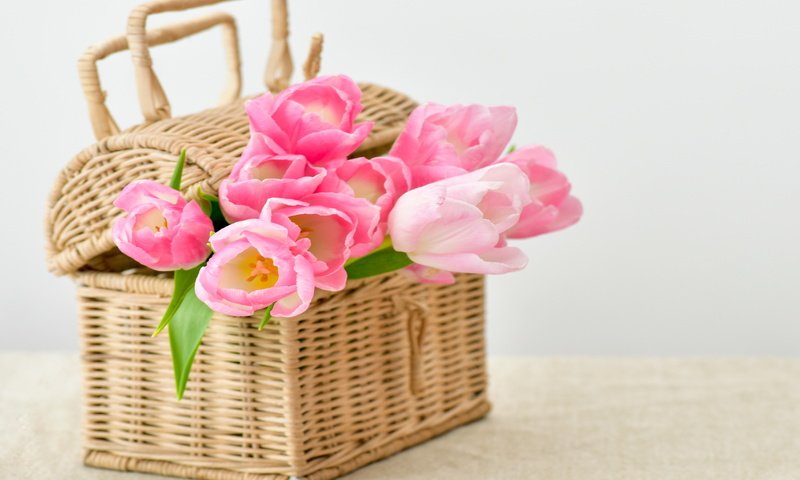 Обои цветы, букет, корзина, тюльпаны, тульпаны,  цветы, pink-tulips-flowers-bouquet.jpg pink, flowers, bouquet, basket, tulips разрешение 4585x3057 Загрузить