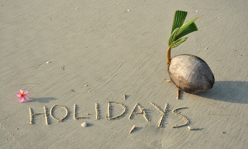 Обои песок, пляж, кокос, песка, тропическая, sand, beach, coconut, tropical разрешение 4288x2848 Загрузить