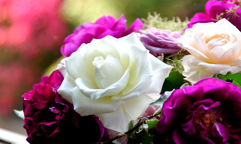Обои розы, лепестки, букет, roses, petals, bouquet разрешение 1920x1200 Загрузить