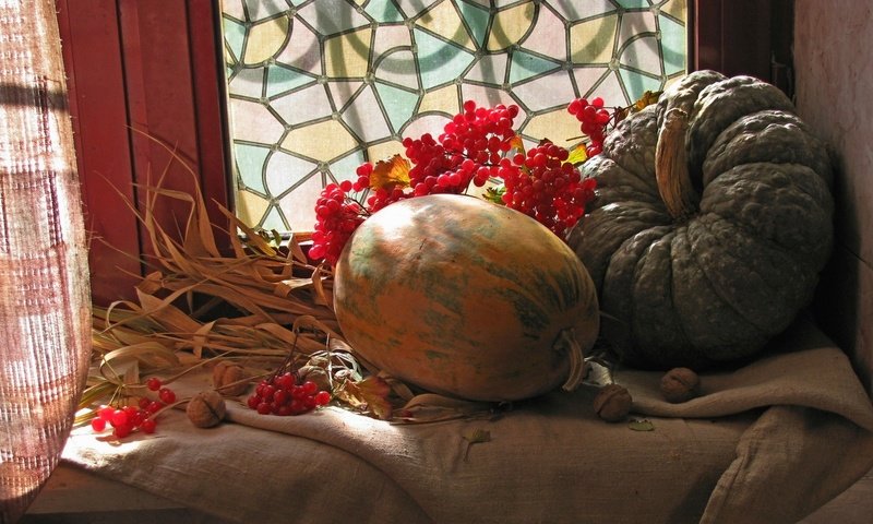 Обои свет, орехи, окно, тыквы, натюрморт, калина, light, nuts, window, pumpkin, still life, kalina разрешение 1920x1080 Загрузить