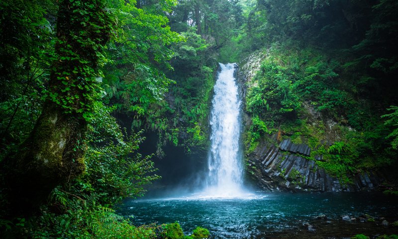 Обои природа, лес, водопад, япония, nature, forest, waterfall, japan разрешение 3840x2400 Загрузить