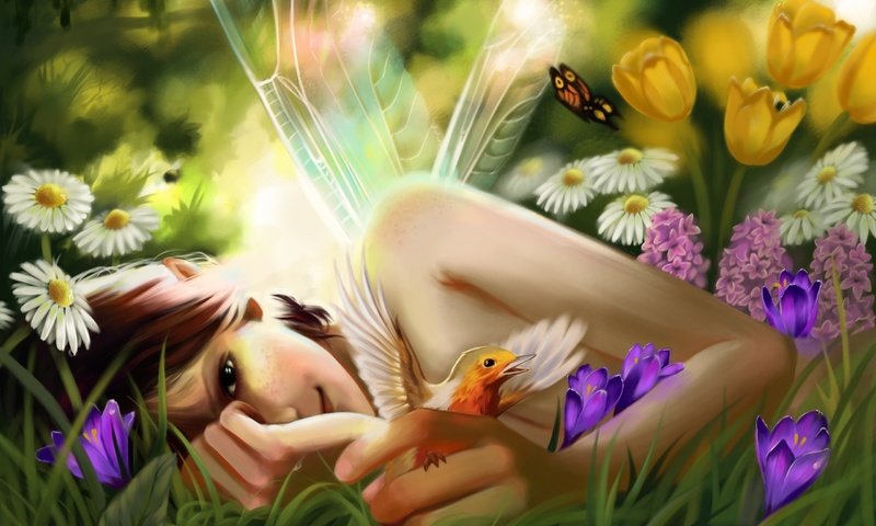 Обои цветы, девушка, бабочка, фея, птица, flowers, girl, butterfly, fairy, bird разрешение 2560x1600 Загрузить