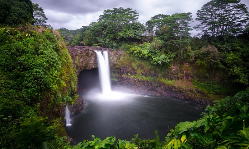 Обои деревья, лес, скала, водопад, сша, тропики, гавайи, hilo, trees, forest, rock, waterfall, usa, tropics, hawaii разрешение 2880x1820 Загрузить