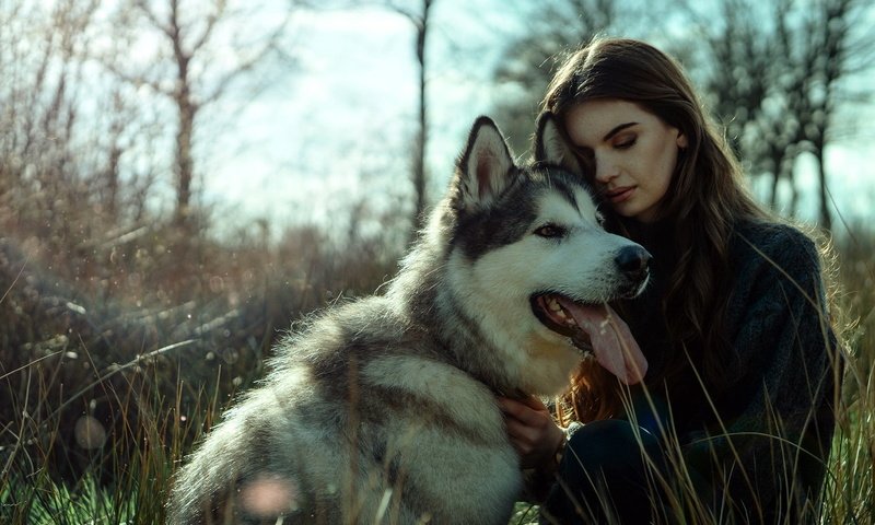 Обои девушка, фон, собака, girl, background, dog разрешение 2048x1366 Загрузить