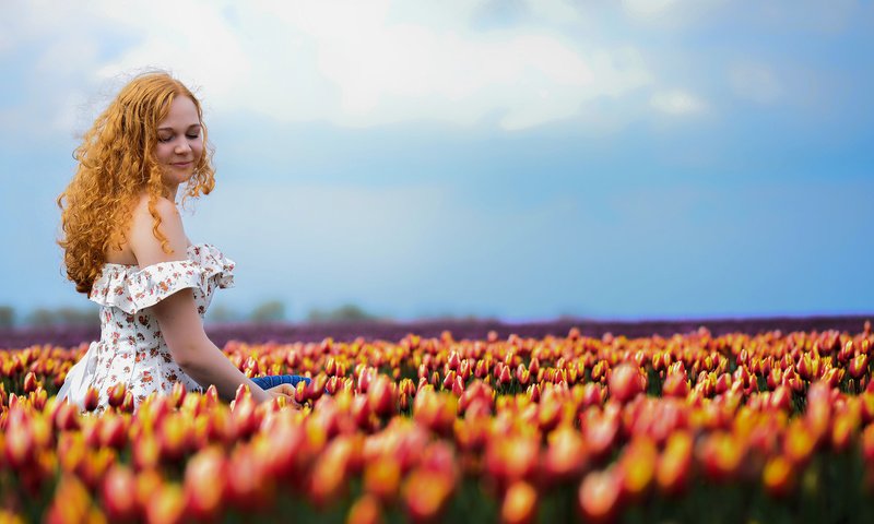 Обои девушка, лето, тюльпаны, girl, summer, tulips разрешение 2048x1150 Загрузить