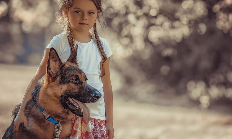 Обои собака, девочка, ребенок, друзья, немецкая овчарка, dog, girl, child, friends, german shepherd разрешение 1920x1200 Загрузить