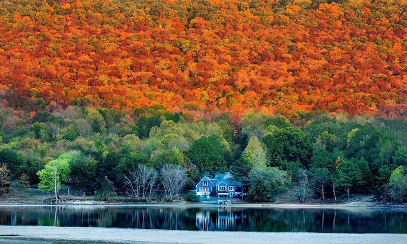 Обои лес, осень, дом, alabama in autumn, forest, autumn, house разрешение 2048x1365 Загрузить