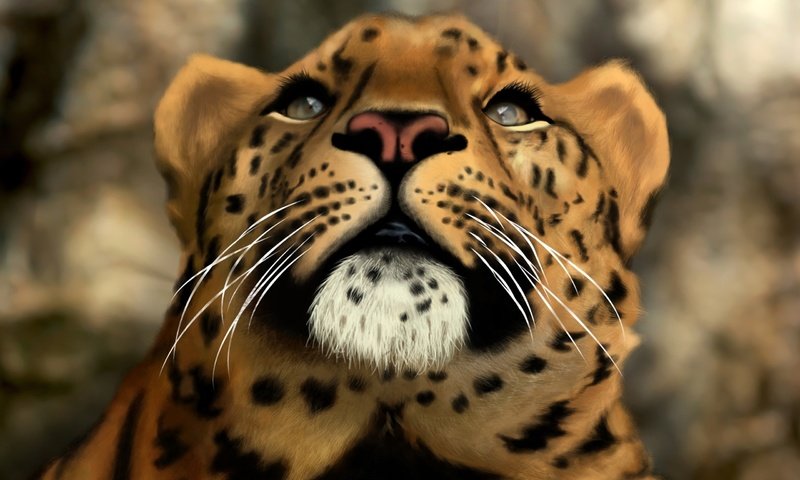 Обои морда, арт, кошка, леопард, хищник, face, art, cat, leopard, predator разрешение 2560x1600 Загрузить