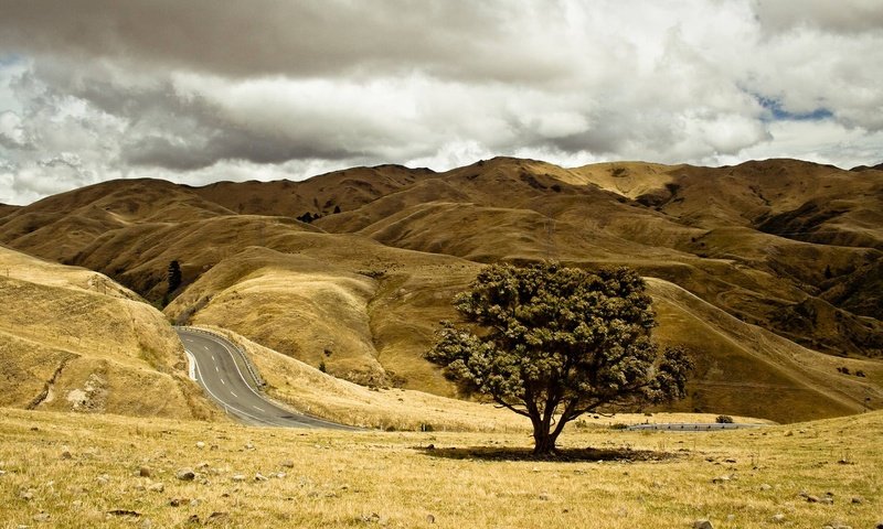 Обои небо, дорога, холмы, дерево, пейзаж, осень, the sky, road, hills, tree, landscape, autumn разрешение 2880x1800 Загрузить